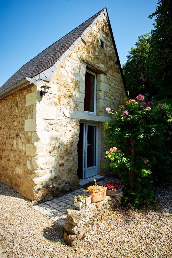 Domaine De La Juranvillerie, Gite Et Chambres D'Hotes Rigny-Ussé Eksteriør billede