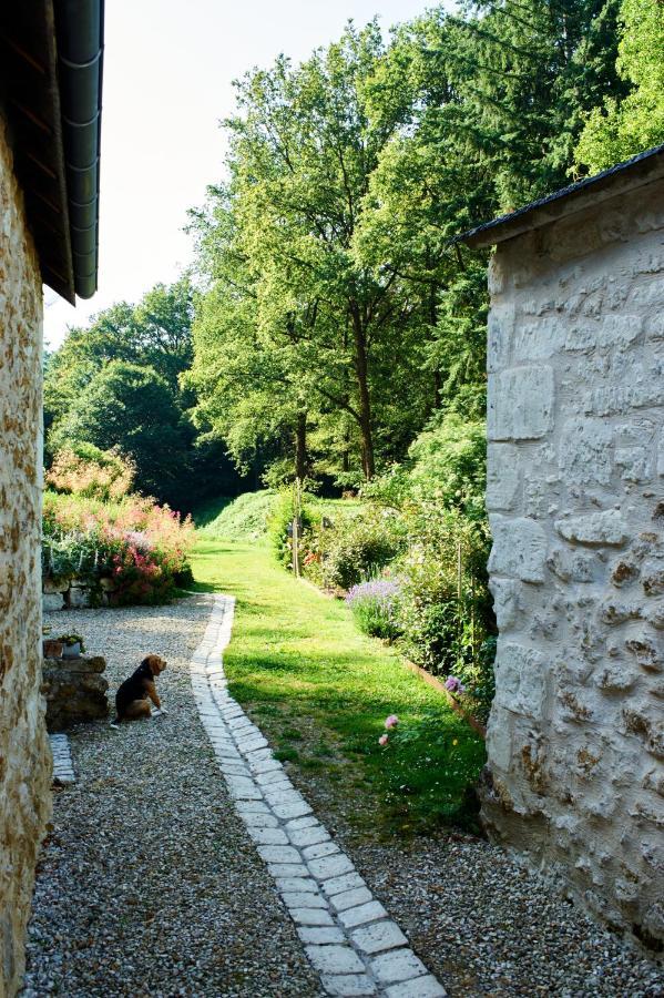 Domaine De La Juranvillerie, Gite Et Chambres D'Hotes Rigny-Ussé Eksteriør billede